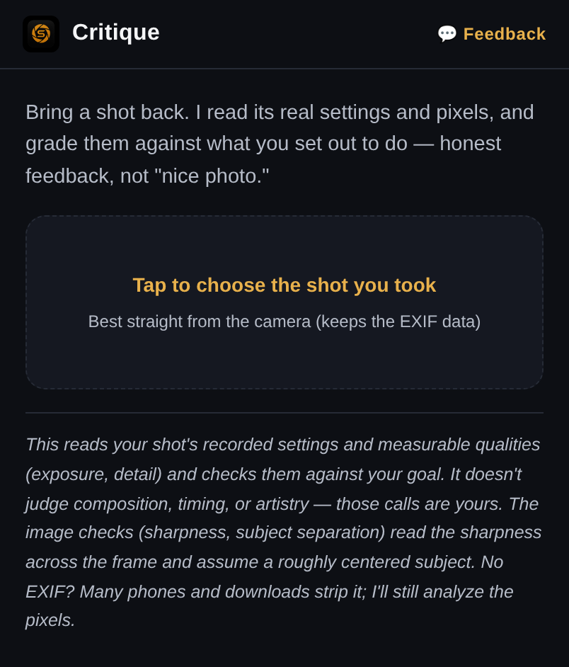 Critique of an uploaded photo