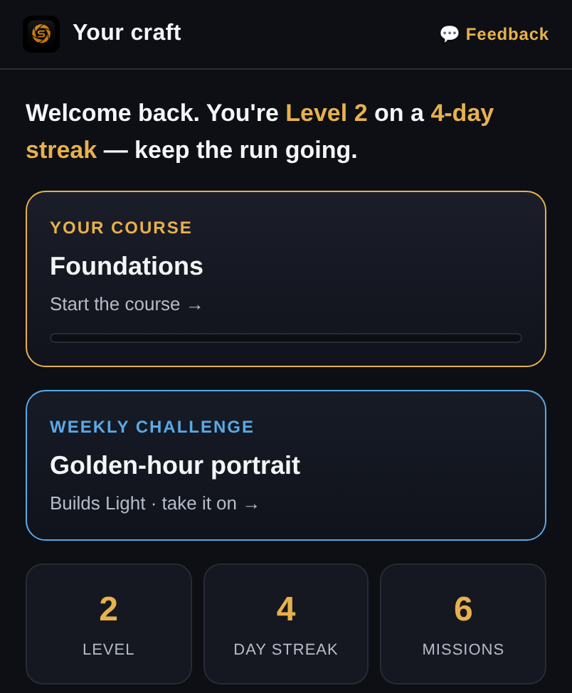 Dashboard showing craft progress